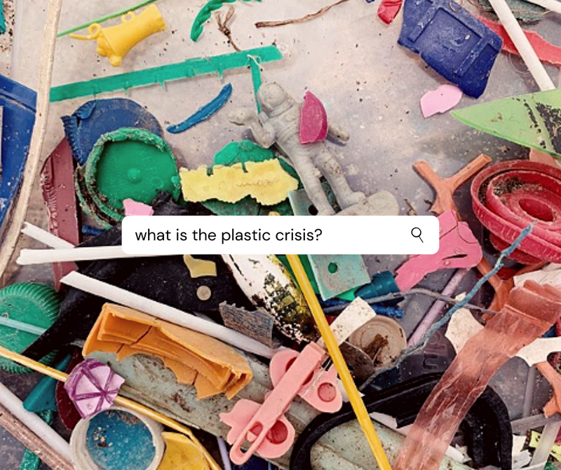 What is the plastic crisis?