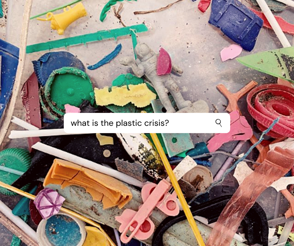 What is the plastic crisis?
