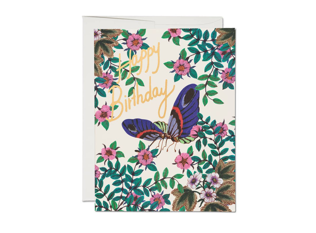 Birthday Card: Delicate Butterfly