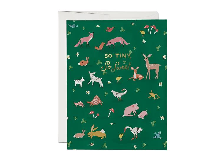Baby Card:  Tiny Animals