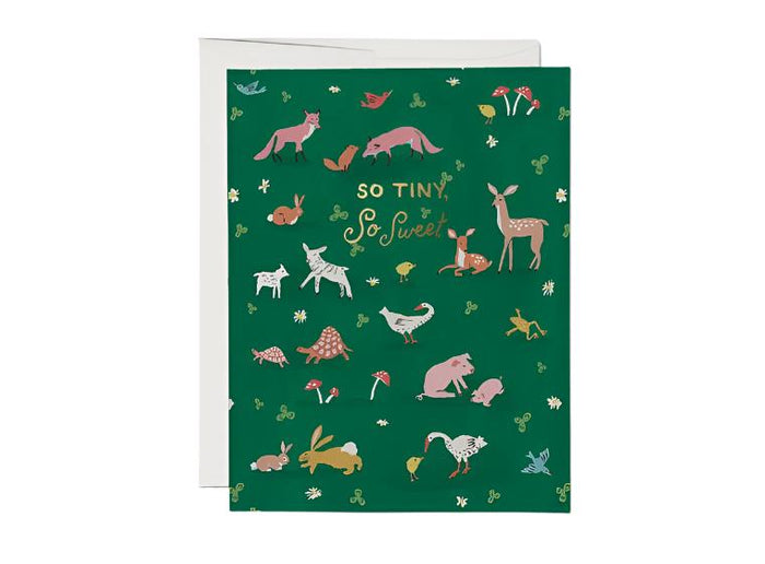 Baby Card:  Tiny Animals