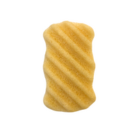 Exfoliating Body Sponge