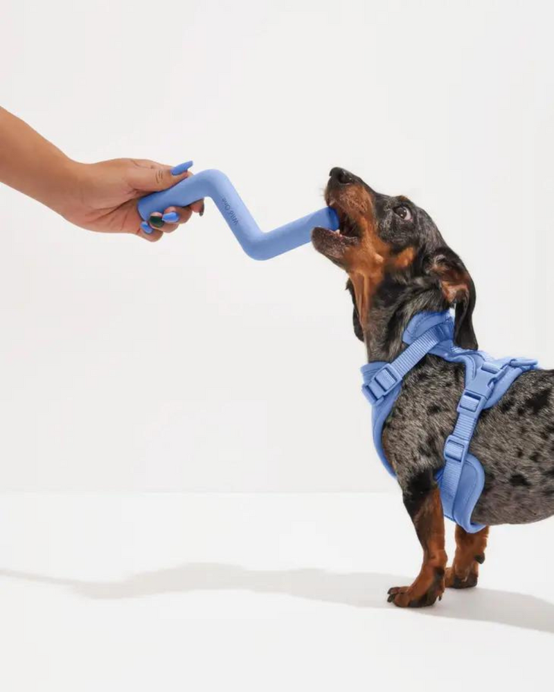 Rubber discount dog chews