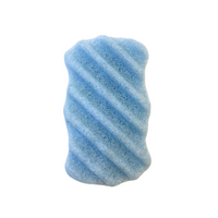 Exfoliating Body Sponge