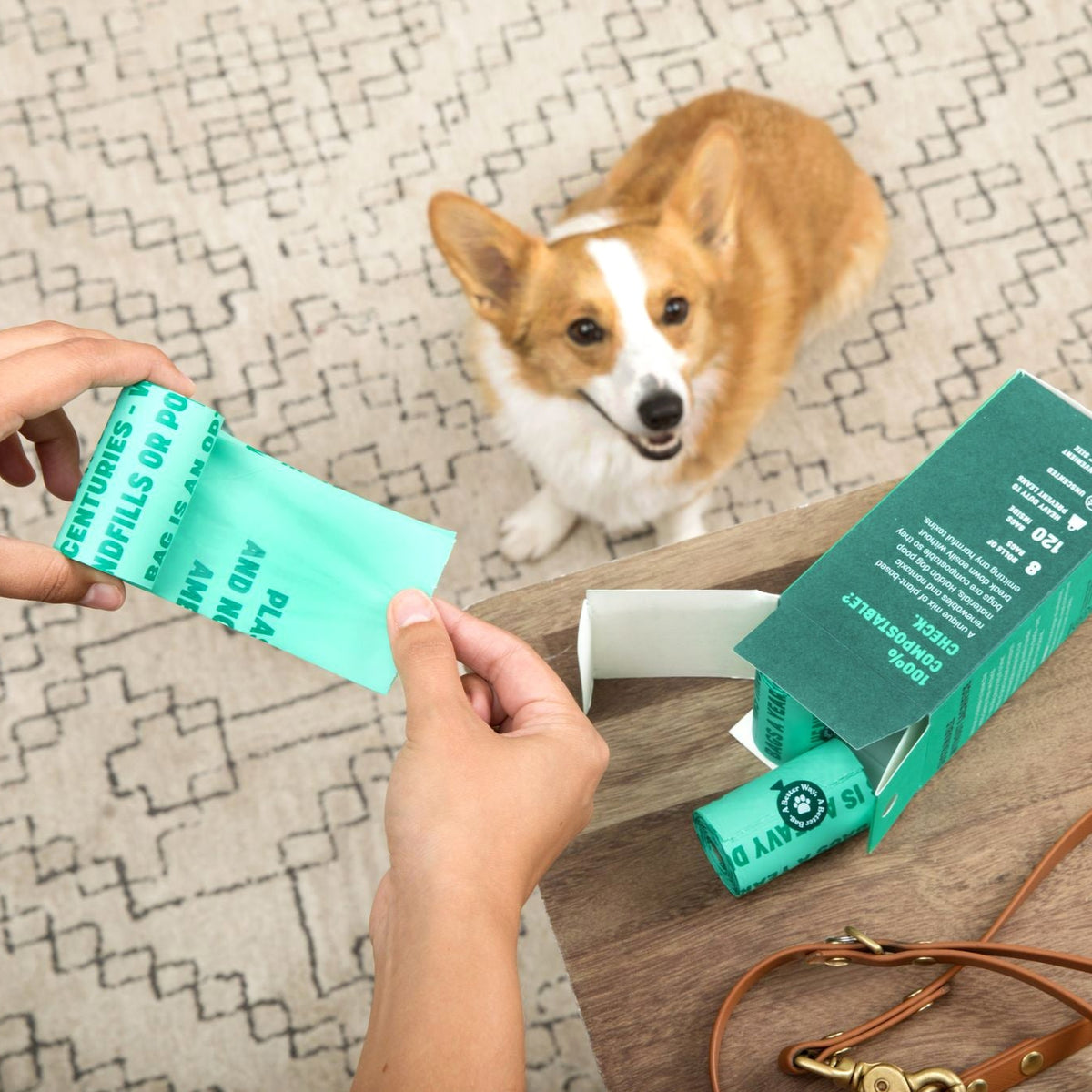 Compostable Dog Poop Bags (120 count)