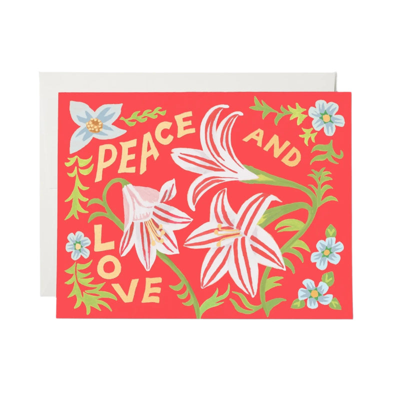 Holiday Card:  Amaryllis