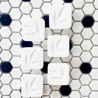 Toilet Bowl Cleaning Tablets