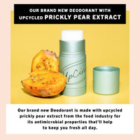 Plastic-Free Refillable Deodorant with Macadamia + Bergamot