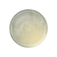 Liquid Dish Soap Refill