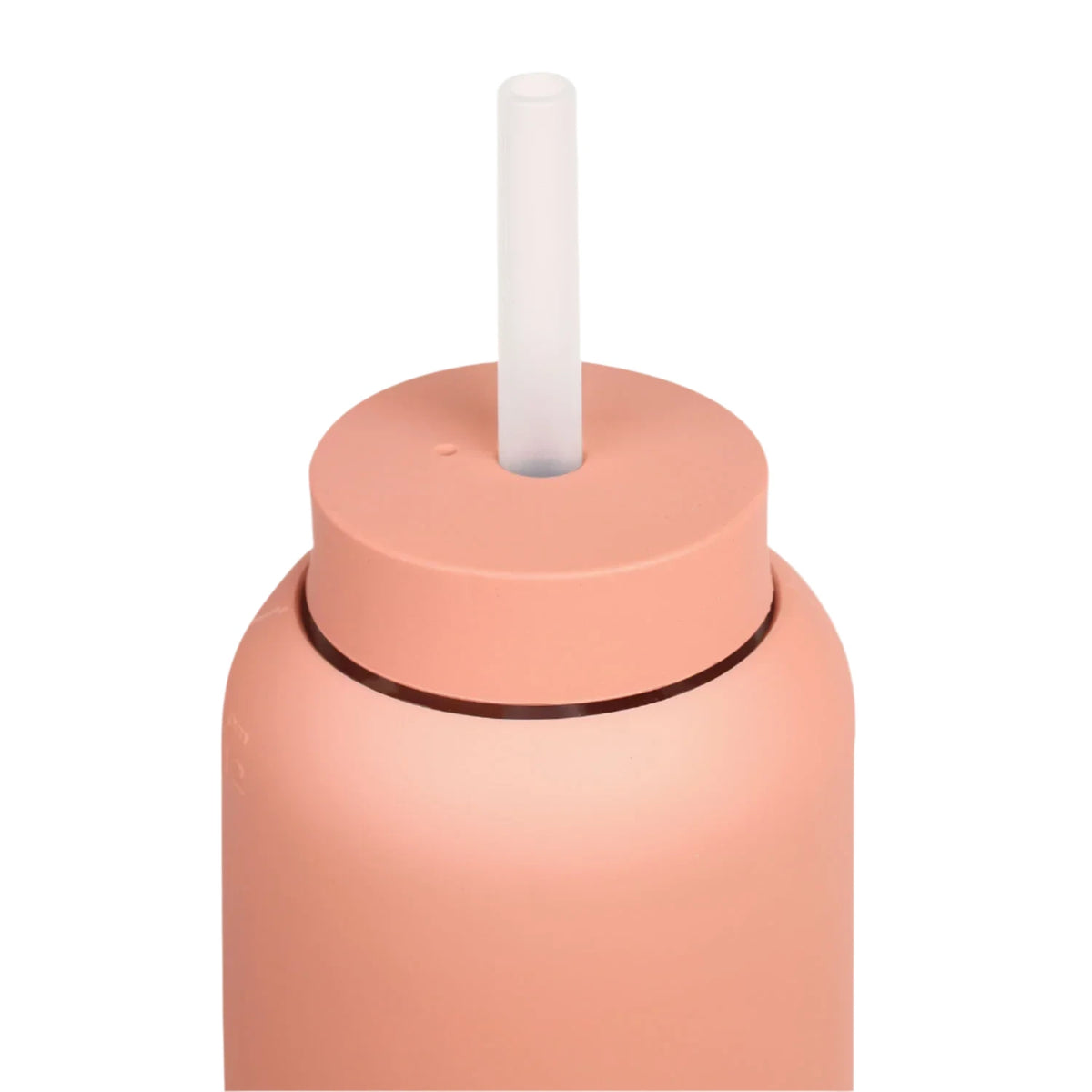 Silicone Water Bottle Cap & Straw