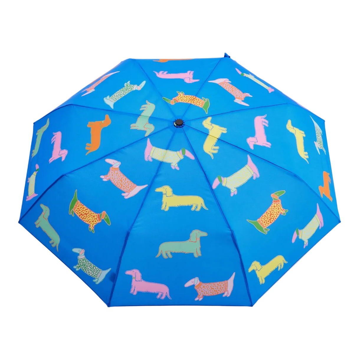 Compact Eco-Friendly Umbrella