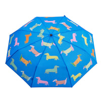 Compact Eco-Friendly Umbrella