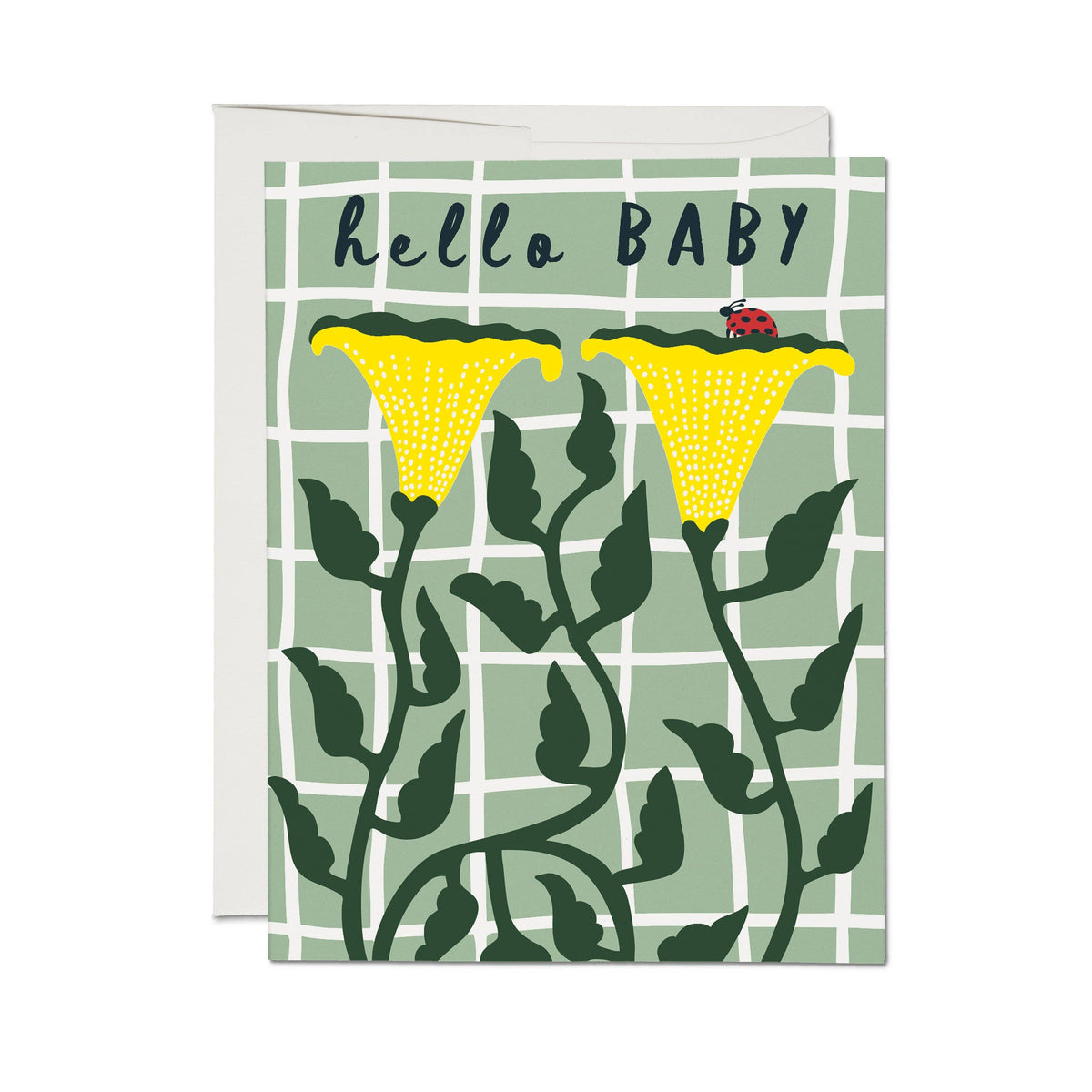 Baby Card: Ladybug Baby