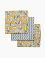 Quick-Drying Dishcloth Set