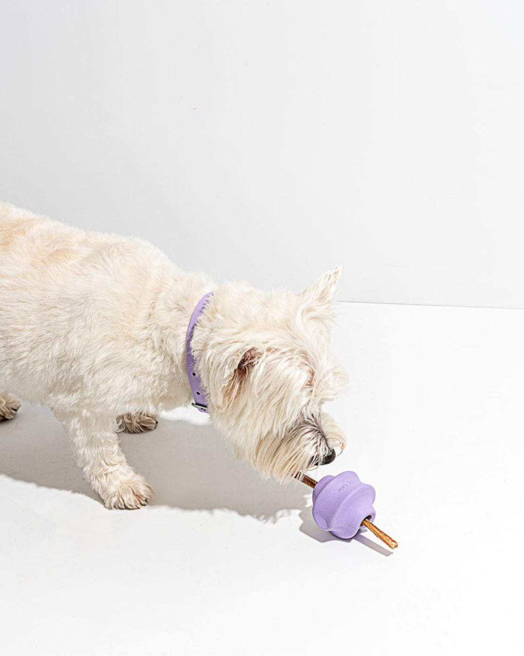Rubber Twist Toss Dispensing Dog Toy