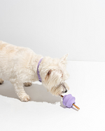 Rubber Twist Toss Dispensing Dog Toy