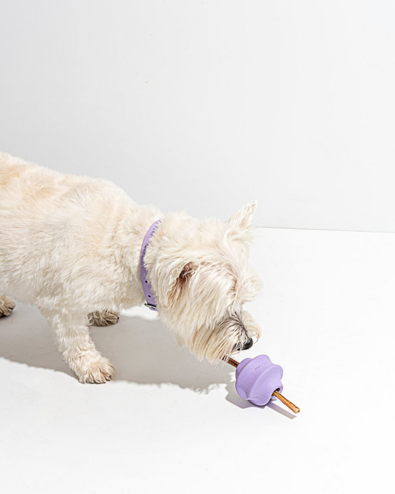 Rubber Twist Toss Dispensing Dog Toy