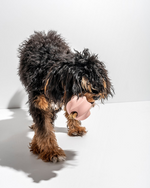 Rubber Twist Toss Dispensing Dog Toy