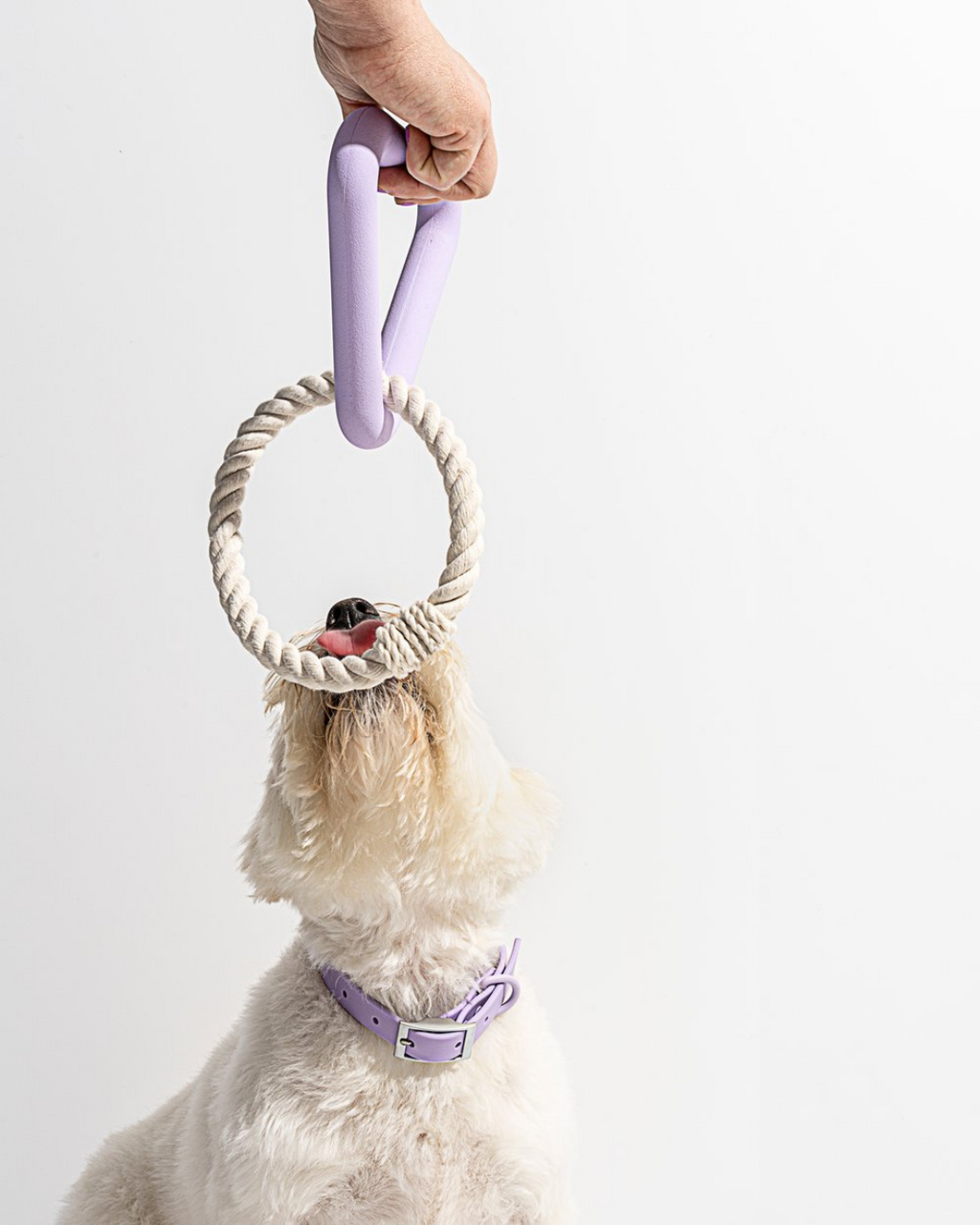 Tug and shop pull dog toy