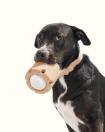 Tennis Tumble Interactive Dog Toy