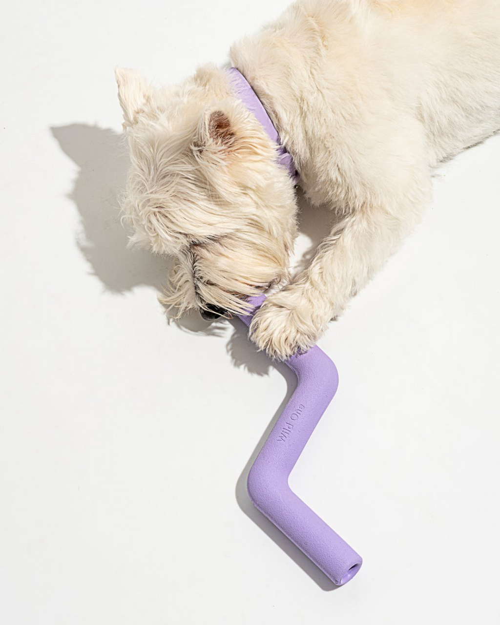 Rubber Bolt Bite Dog Chew Toy – Simply Zero