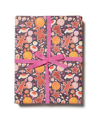 Compostable & Recyclable Holiday Wrapping Paper